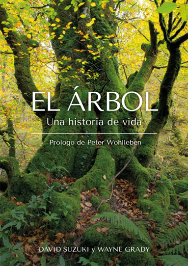 El Rbol Una Historia De Vida Revista N Madas