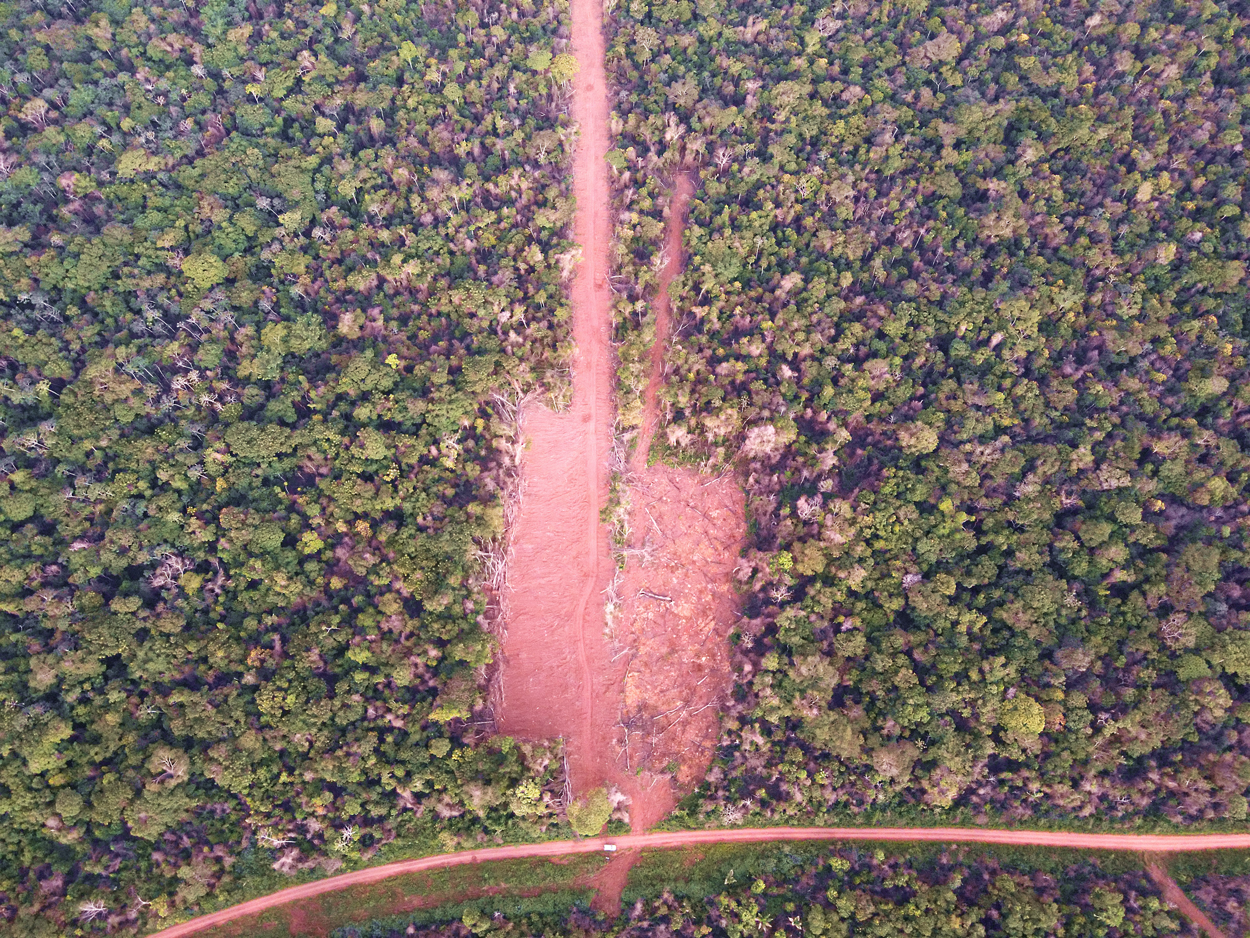 En febrero de este año los avasalladores le hicieron una herida de 8 kilómetros al Bajo Paraguá.