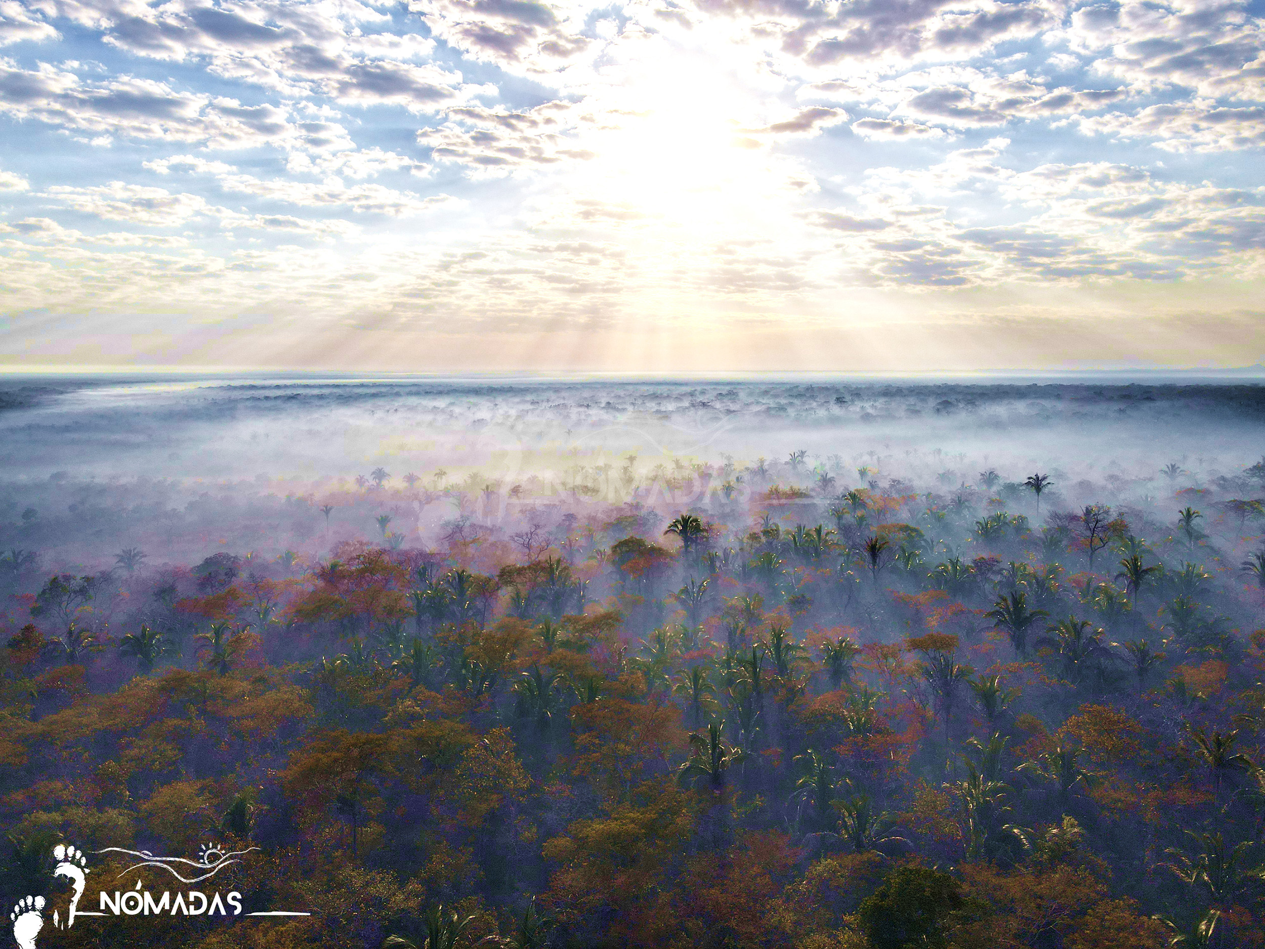 El humo de los incendios forestales ahoga a los bosques.