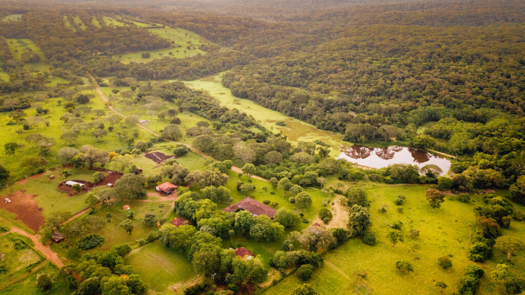 El Centro de Estudios del Bosque Seco Tropical Alta Vista, es un ejemplo de lo que se debe hacer para que el planeta goce de buena salud. Un viaje por el mundo interior de este pedazo de paraíso.