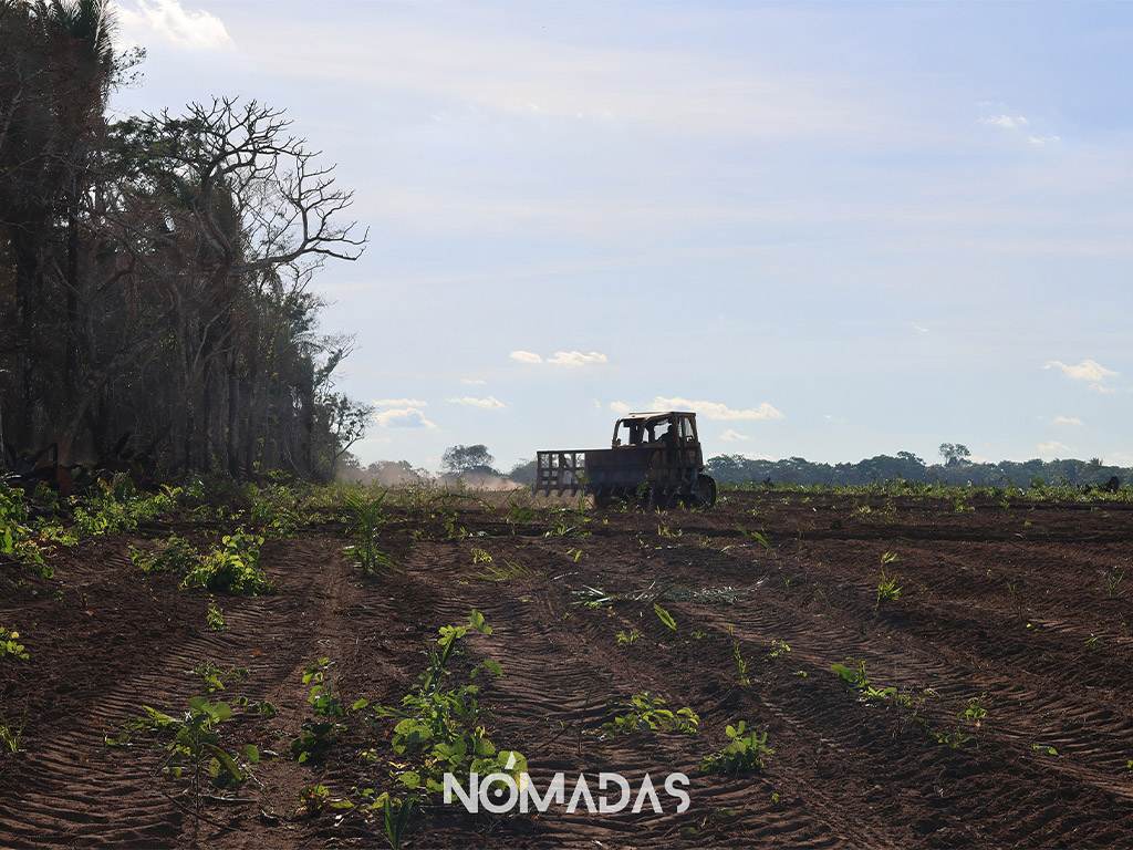 especial bolivia devora su bosque primario 00