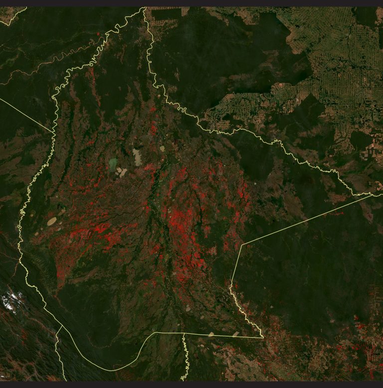 Mapbiomas Bolivia mapa03