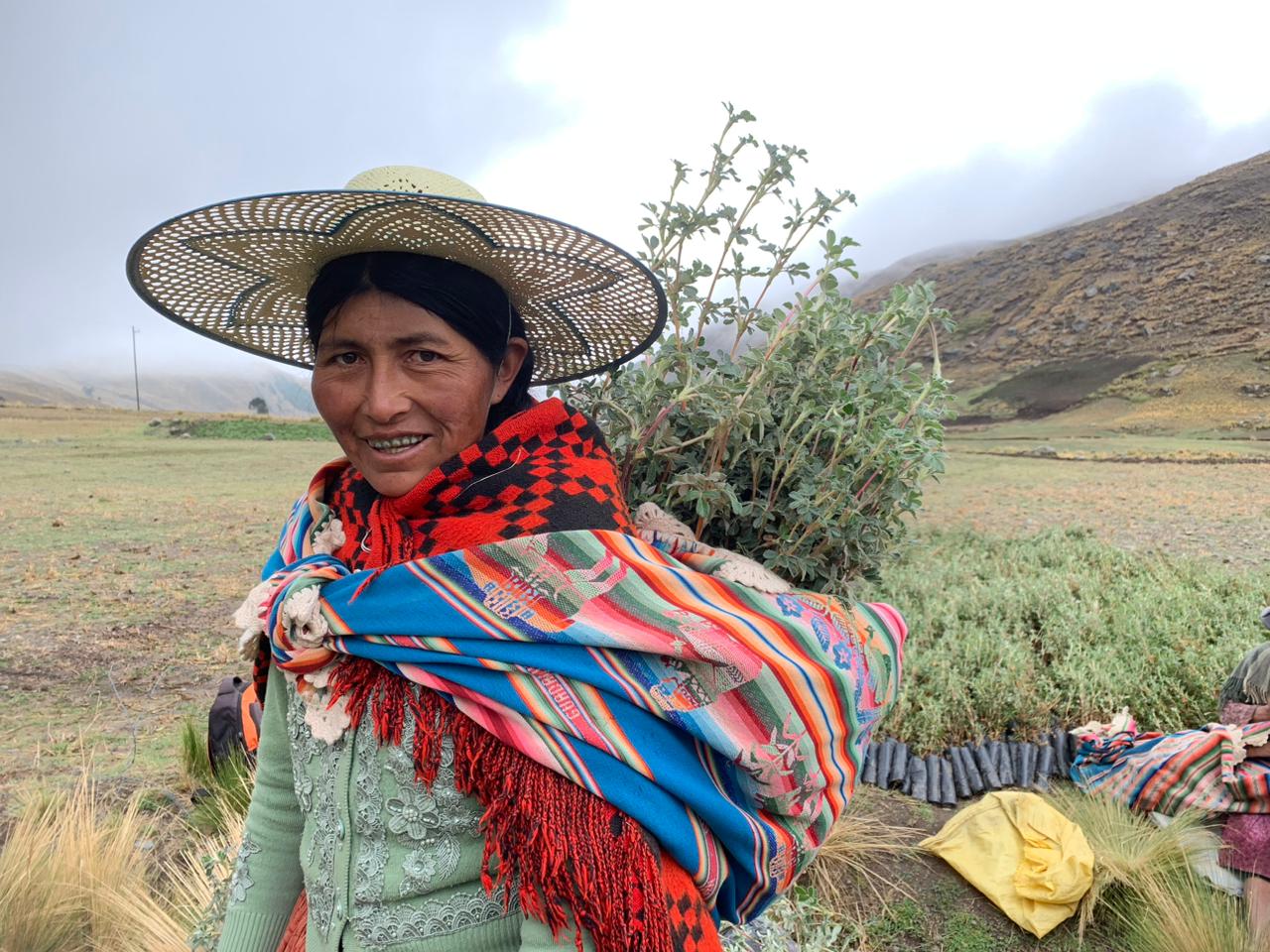 La esperanza que da la restauración de la naturaleza en la comunidad de Collpa Cala Cala. Foto: José Luis Ramos Paredes.