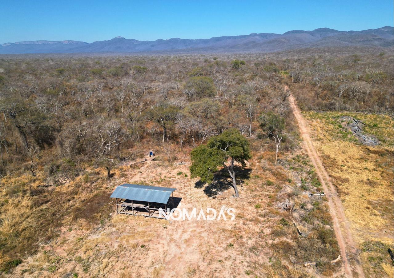 Los avasallamientos y la deforestación galopante en Bolivia, son un reflejo de los malos manejos de varias instituciones que tienen la tarea de velar por los bosques. Foto: Revista Nómadas.