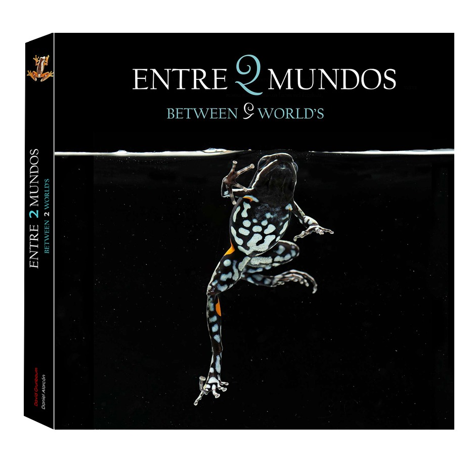 entre dos mundos libro (4)