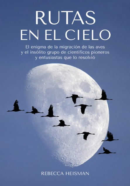 Las rutas en el cielo