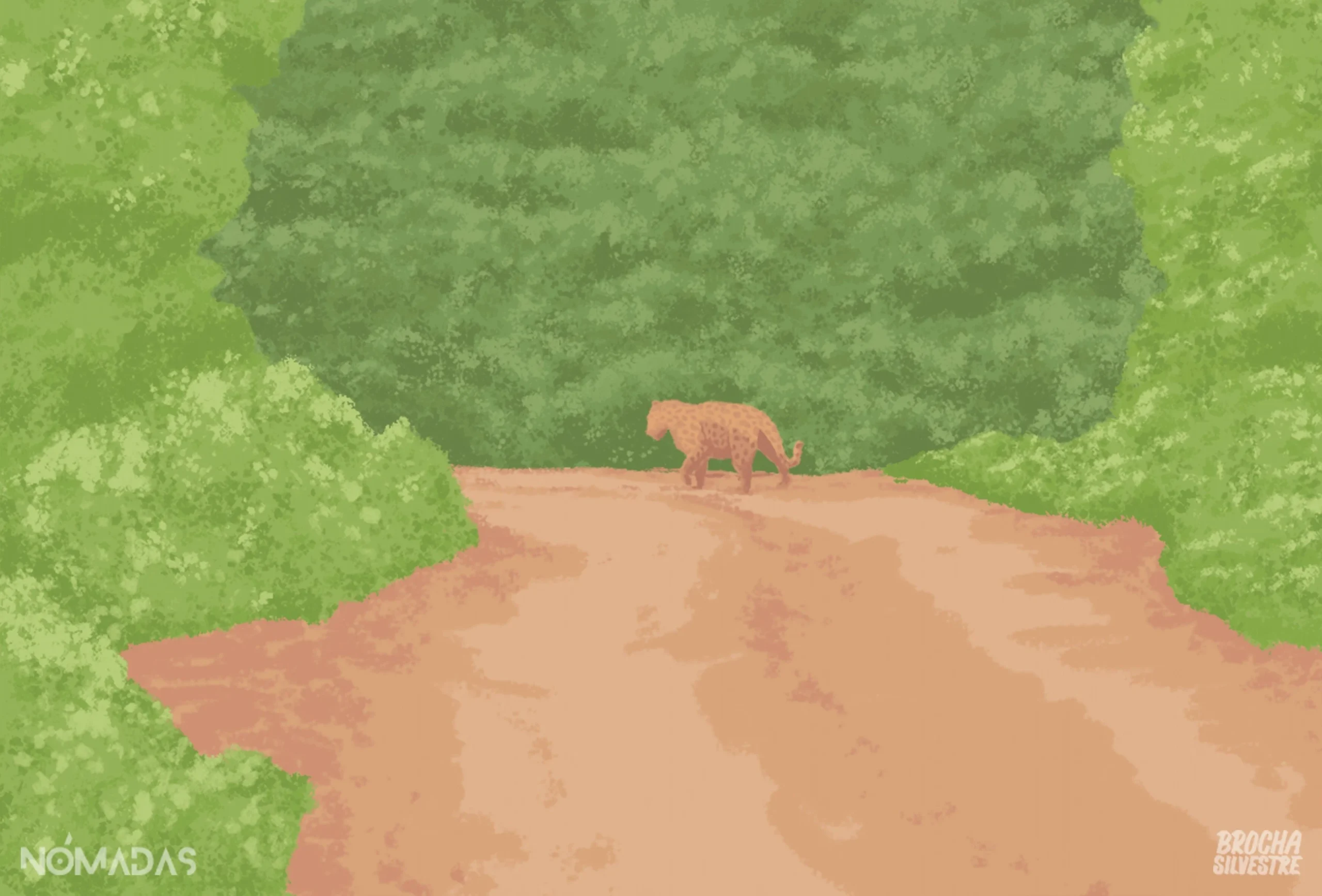 Varias instituciones y personas comprometidas con la naturaleza, esperan que se haga historia en Sucre a favor del gran felino de América. Ilustración. Brocha Silvestre/Revista Nómadas.