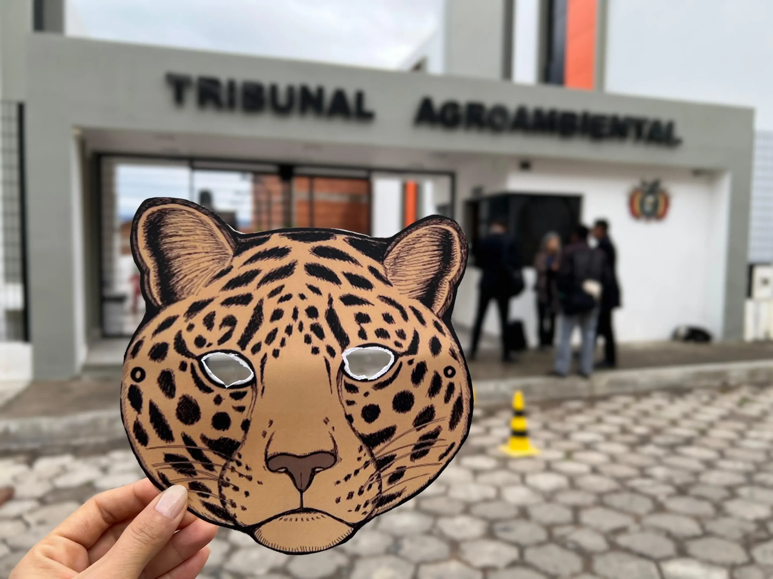 El gran felino de América, ahora tiene quién lo proteja. Foto. Llanto del jaguar.