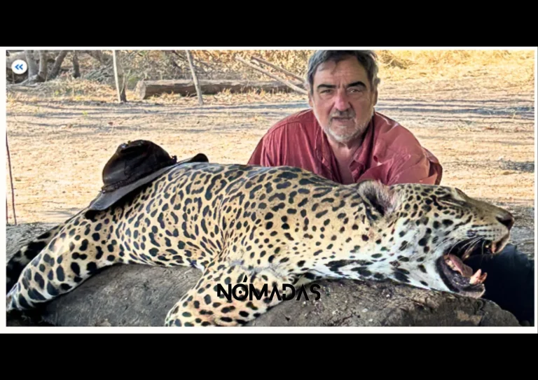 Los últimos viajes de Jorge Noya a Bolivia: en julio de 2024 llegó con un tal “Benji” y mataron dos jaguares