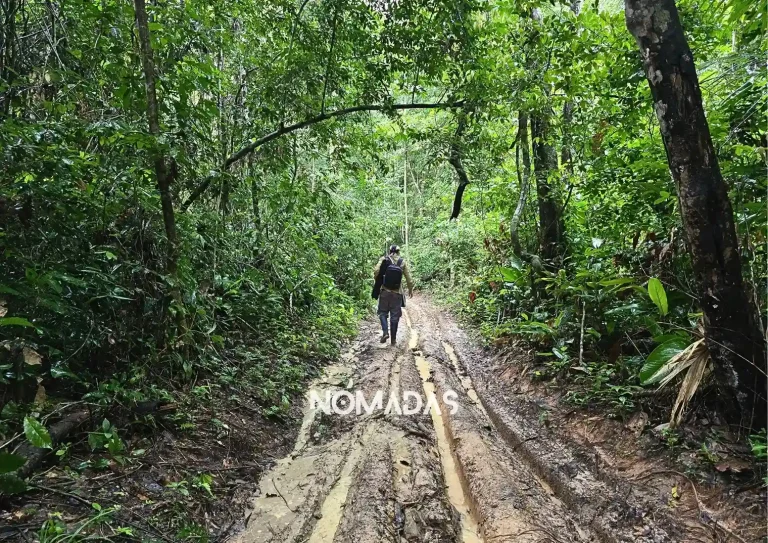 Sin planeta no hay noticia: el periodismo frente a la emergencia ambiental