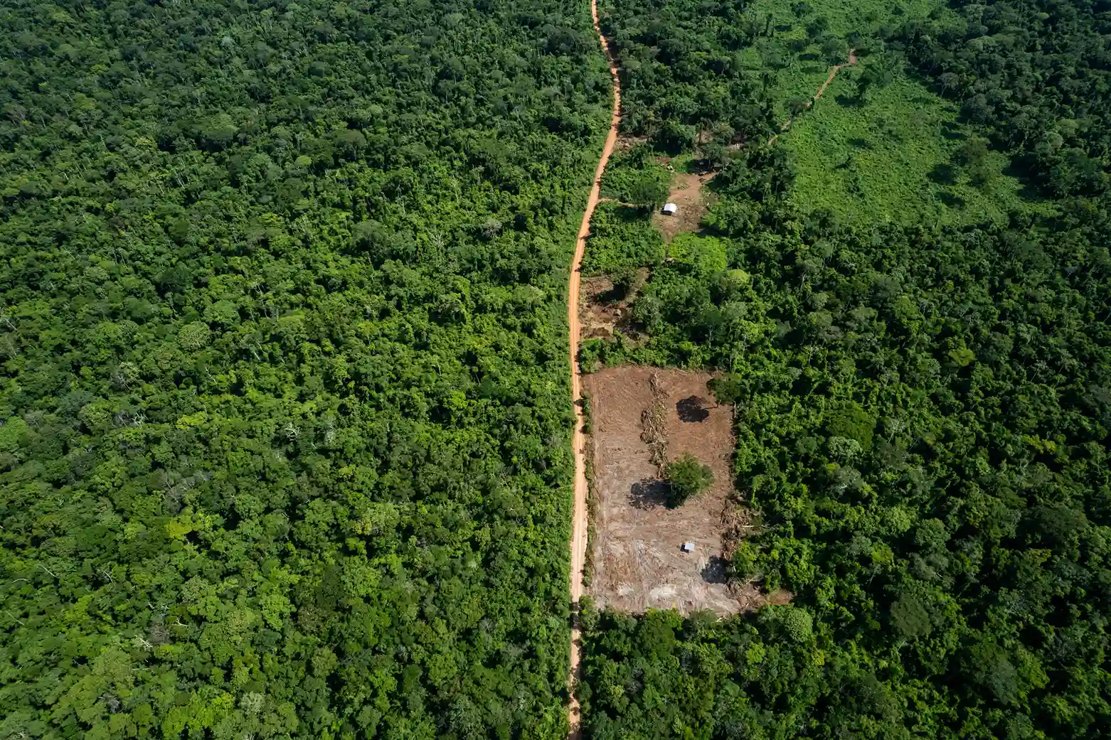 El Bajo Paraguá, uno de los lugares afectados por la deforestación ilegal. Foto. Revista Nómadas.