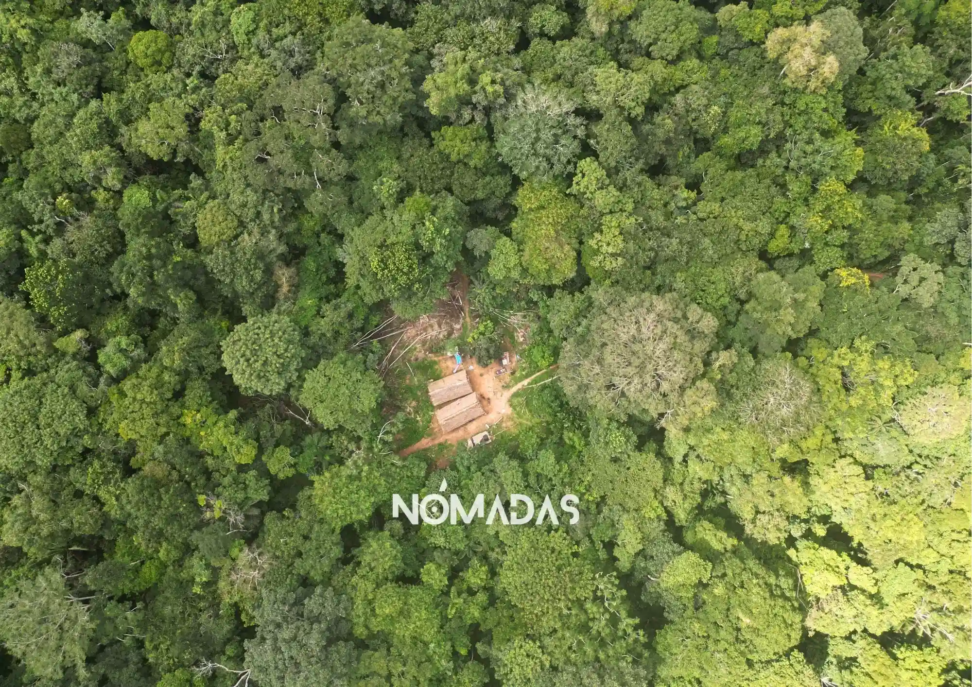 A pesar de la deforestación galopante, aún quedan selvas por proteger. Foto. Karina Segovia/Revista Nómadas.
