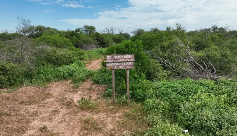 La CANOB y Charagua Iyambae alertan que avanza proyecto carretero que viola la autodeterminación indígena y pone en riesgo el Ñembi Guasu