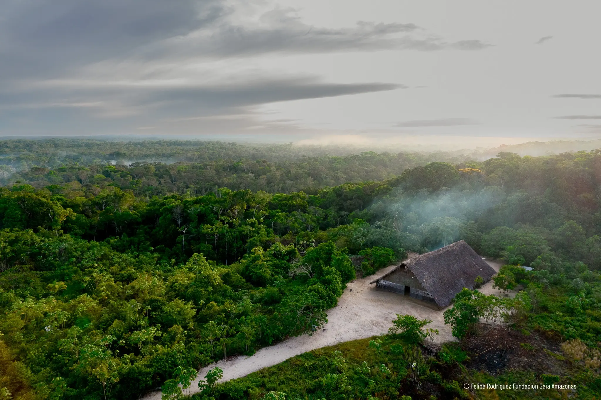 Foto: Felipe Rodríguez | Gaia Amazonas.