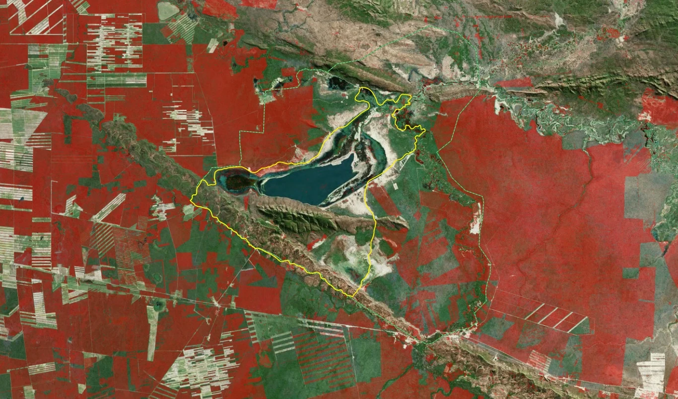 Cuando el agro arrasa: la laguna Concepción que la frontera agrícola secó.