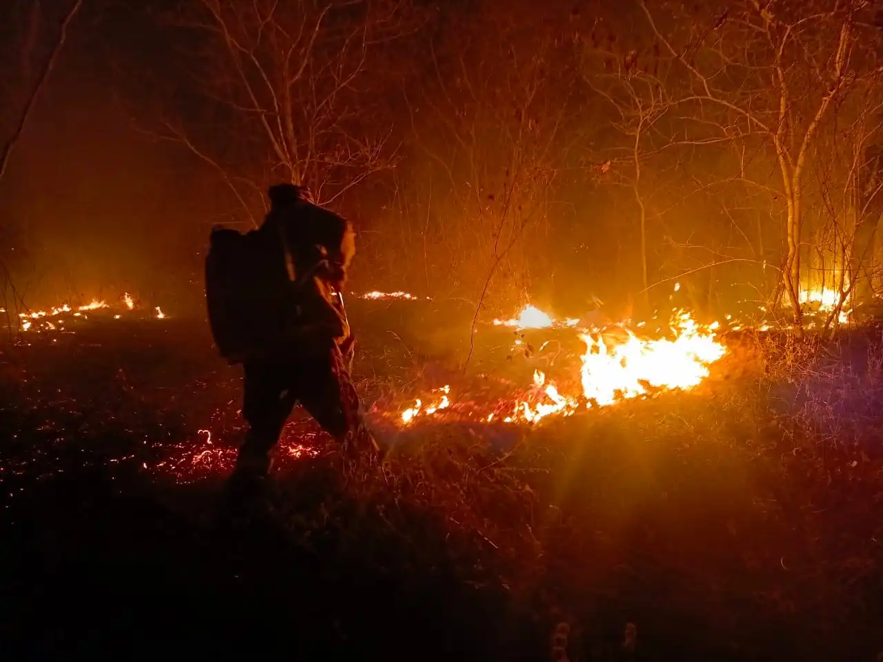 Un bombero forestal, en plena faena de apagar el fuego.
