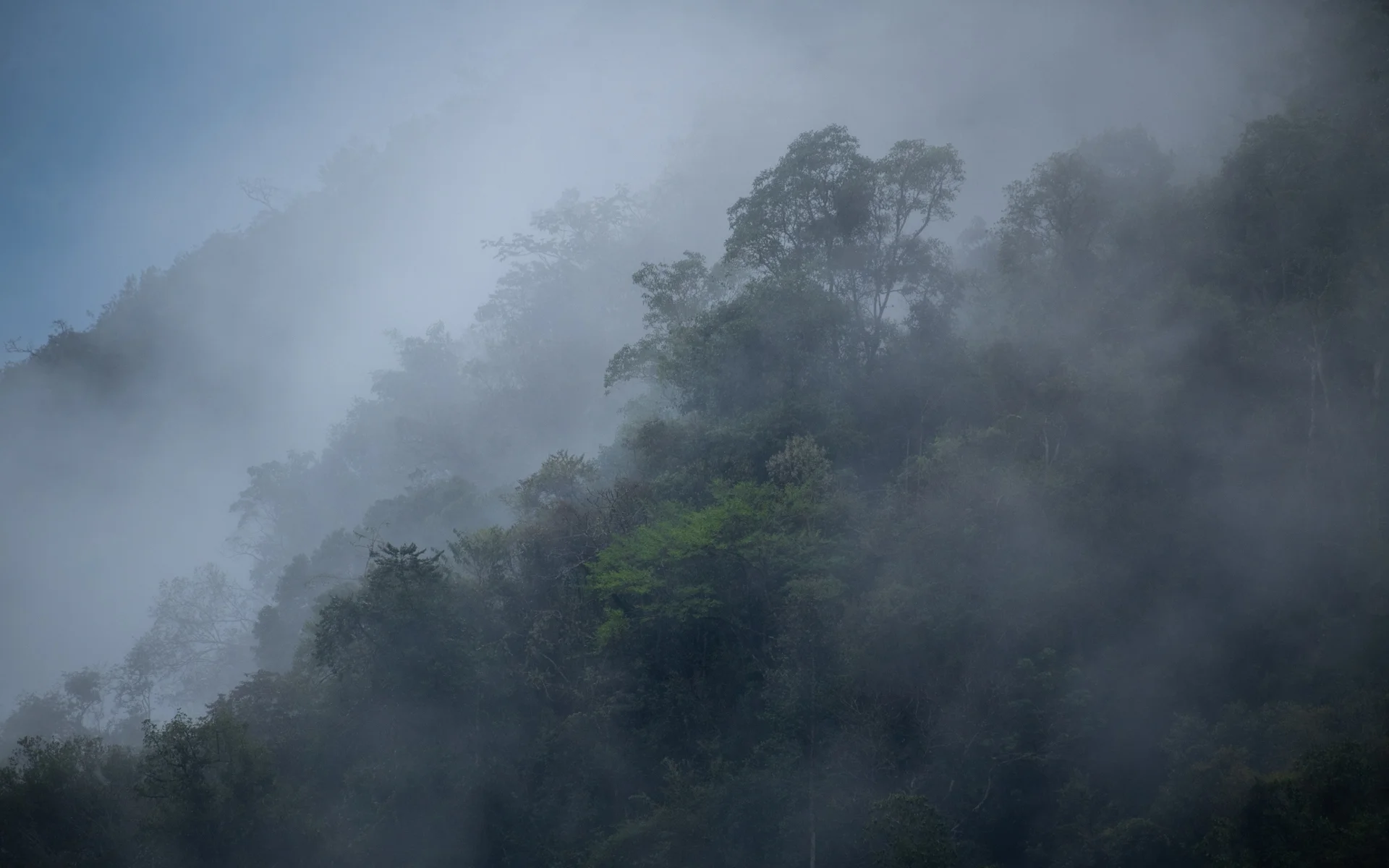 Los “ríos voladores”, corrientes de vapor de agua que transportan humedad desde la Amazonía hacia los Andes y el sur de Sudamérica, se ven amenazados por la deforestación y las quemas, afectando las lluvias en Bolivia y la región. Foto: Reynaldo San Martín.