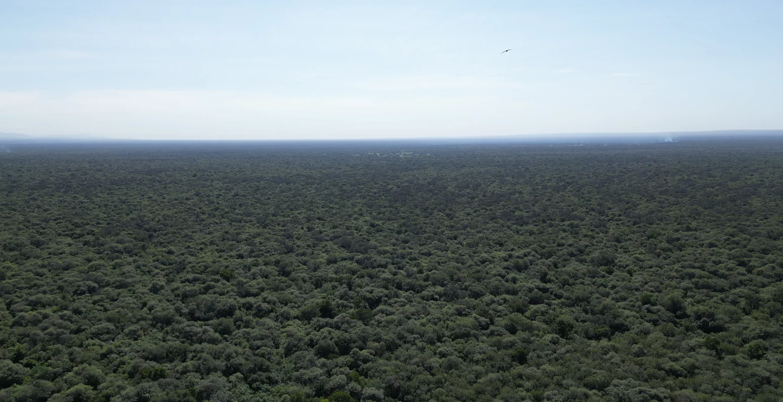 El Gran Chaco Americano, el bosque seco más grande del mundo después de la Amazonía, vuelve a ser escenario de un encuentro global que, apuesta por el diálogo, la innovación y los saberes ancestrales para enfrentar los retos del futuro. Foto: Karina Segovia/Revista Nómadas.