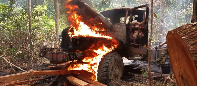 El bosque herido: La guerra silenciosa por la Reserva Nacional Amazónica Manuripi