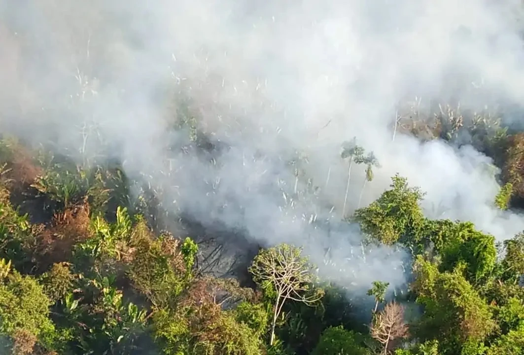 Los incendios están lastimando al Patrimonio de la Humanidad.