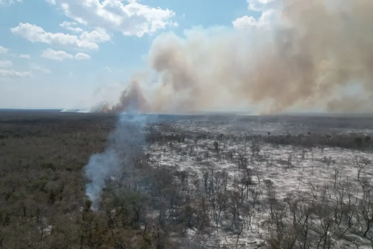 Urgente: incendio se recrudece en área protegida Ñembi Guasu y pone en riesgo a brigadistas