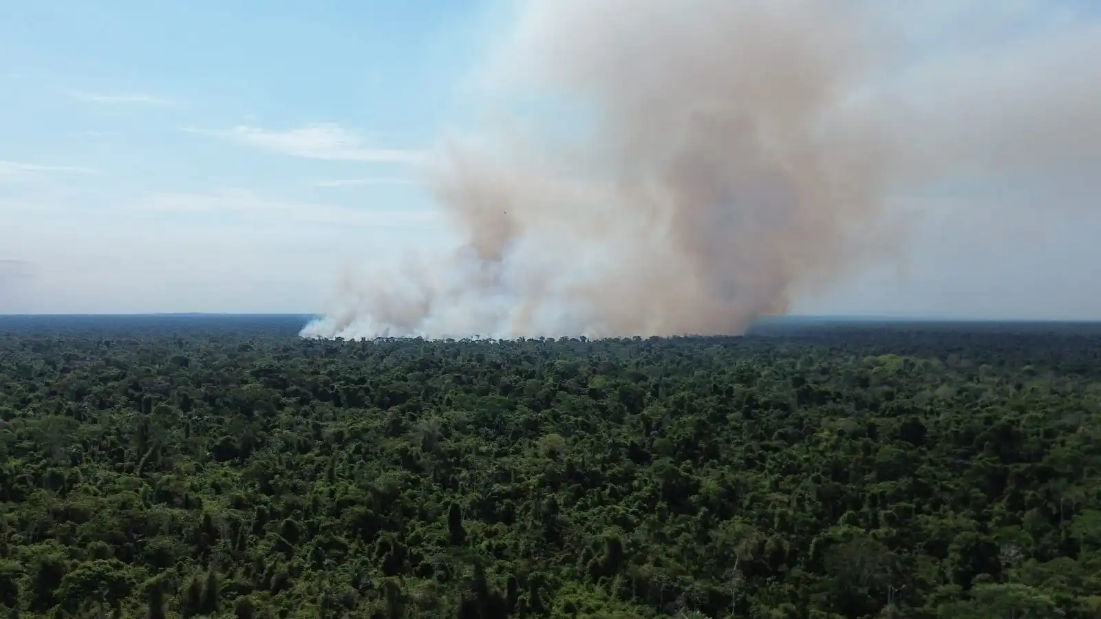La Asociación de Productores Porvenir pide ayuda urgente a las autoridades e instituciones para frenar el incendio.