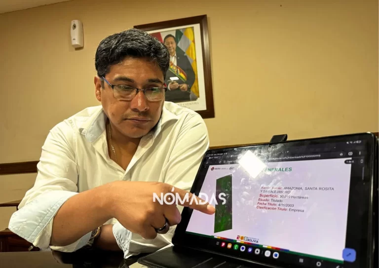 “Vacío legal permite legalizar desmontes ilegales con solo pagar una multa”