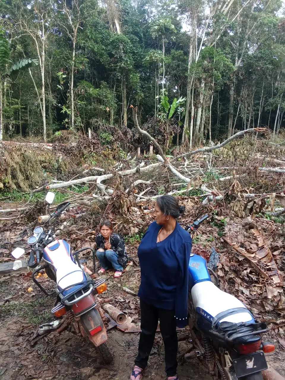 Recolectoras de castaña que llegaron desde Riberalta, se encontraron con el bosque amazónico deforestado.