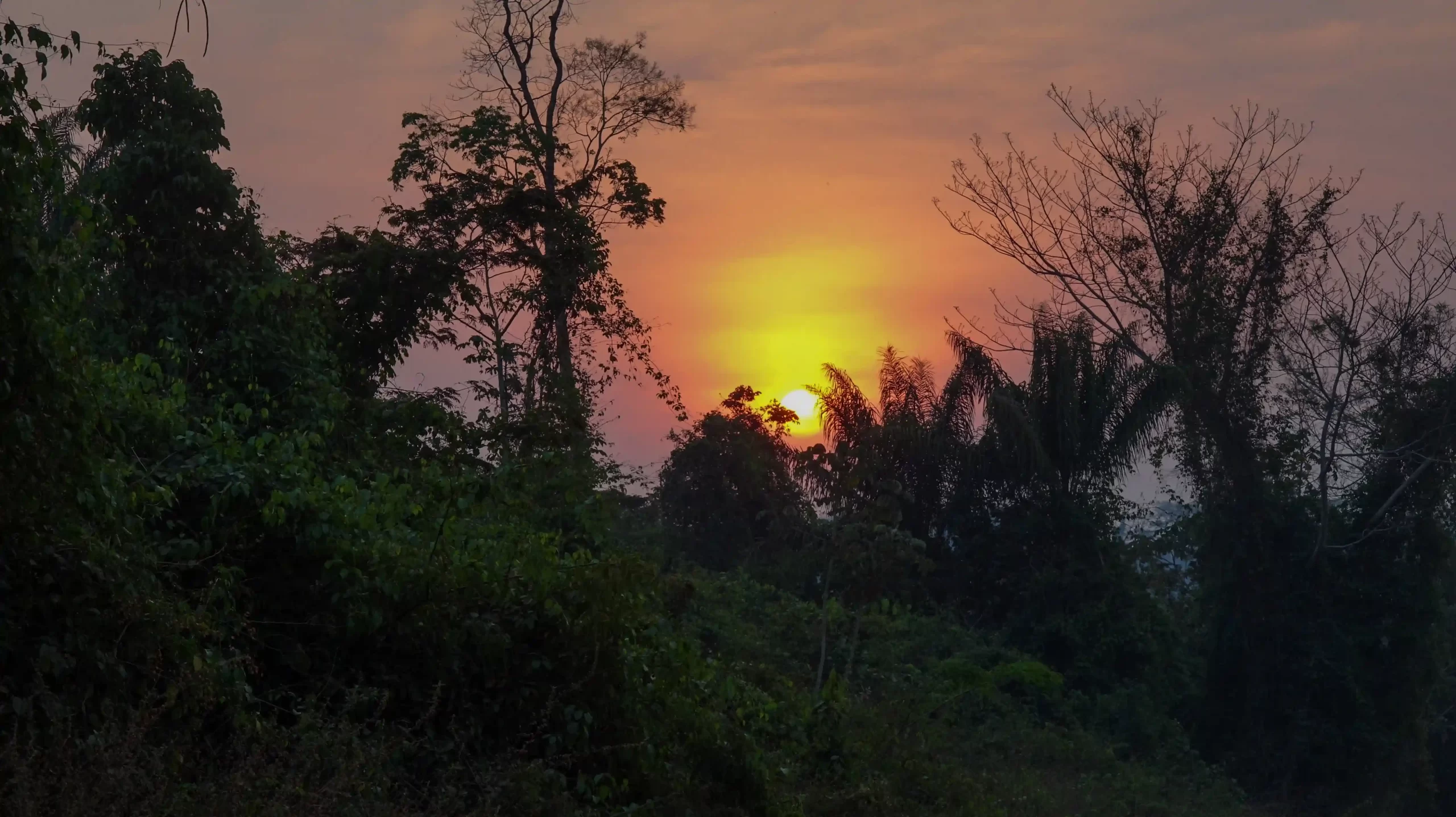 El sol de cada mañana es una esperanza que se renueva. Foto: Karina Segovia/Revista Nómadas.