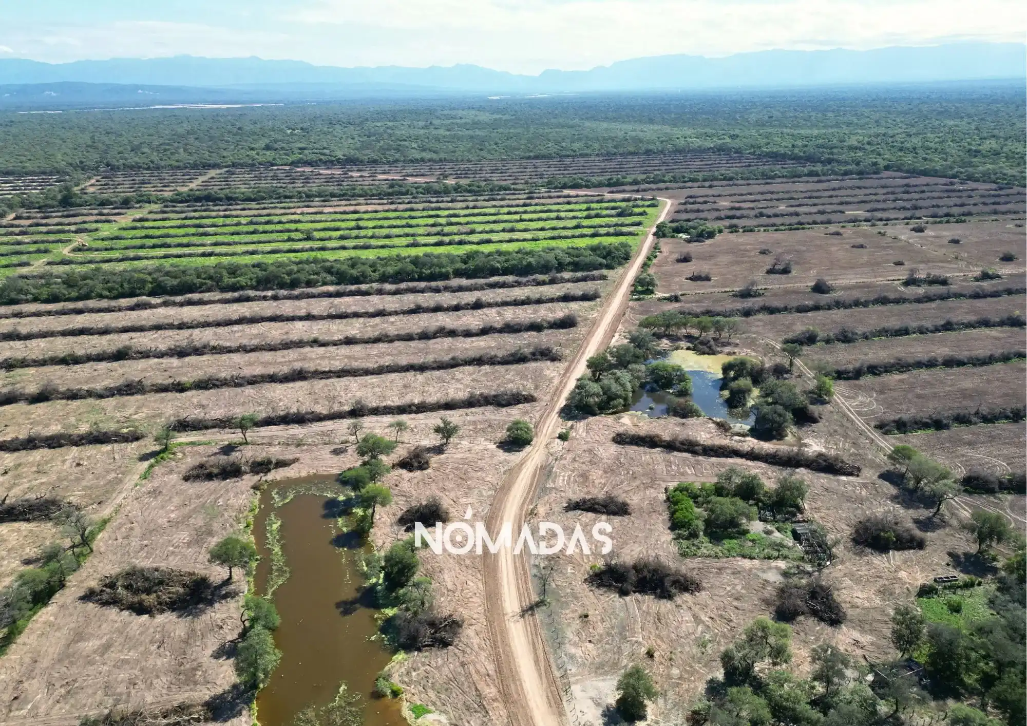 De tierra fiscal a activo financiero: el negocio millonario detrás de la deforestación en Bolivia