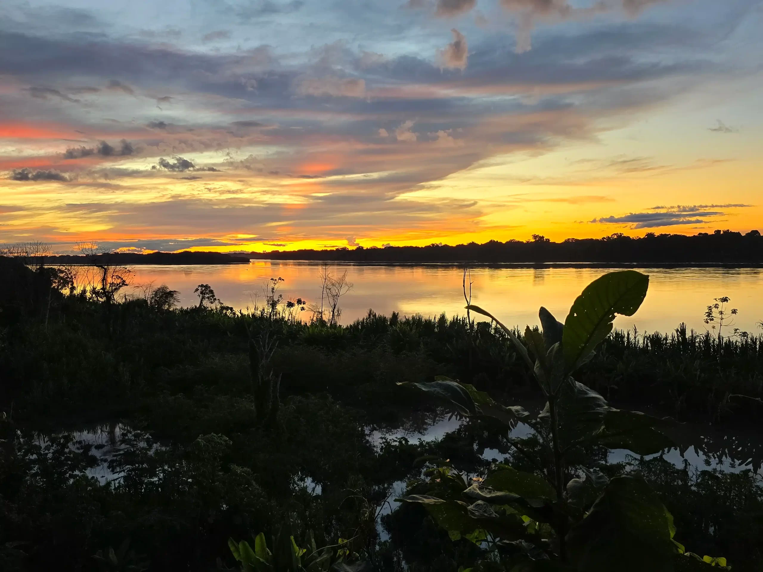 El lenguaje de la naturaleza, en peligro. Foto: Karina Segovia/Revista Nómadas.