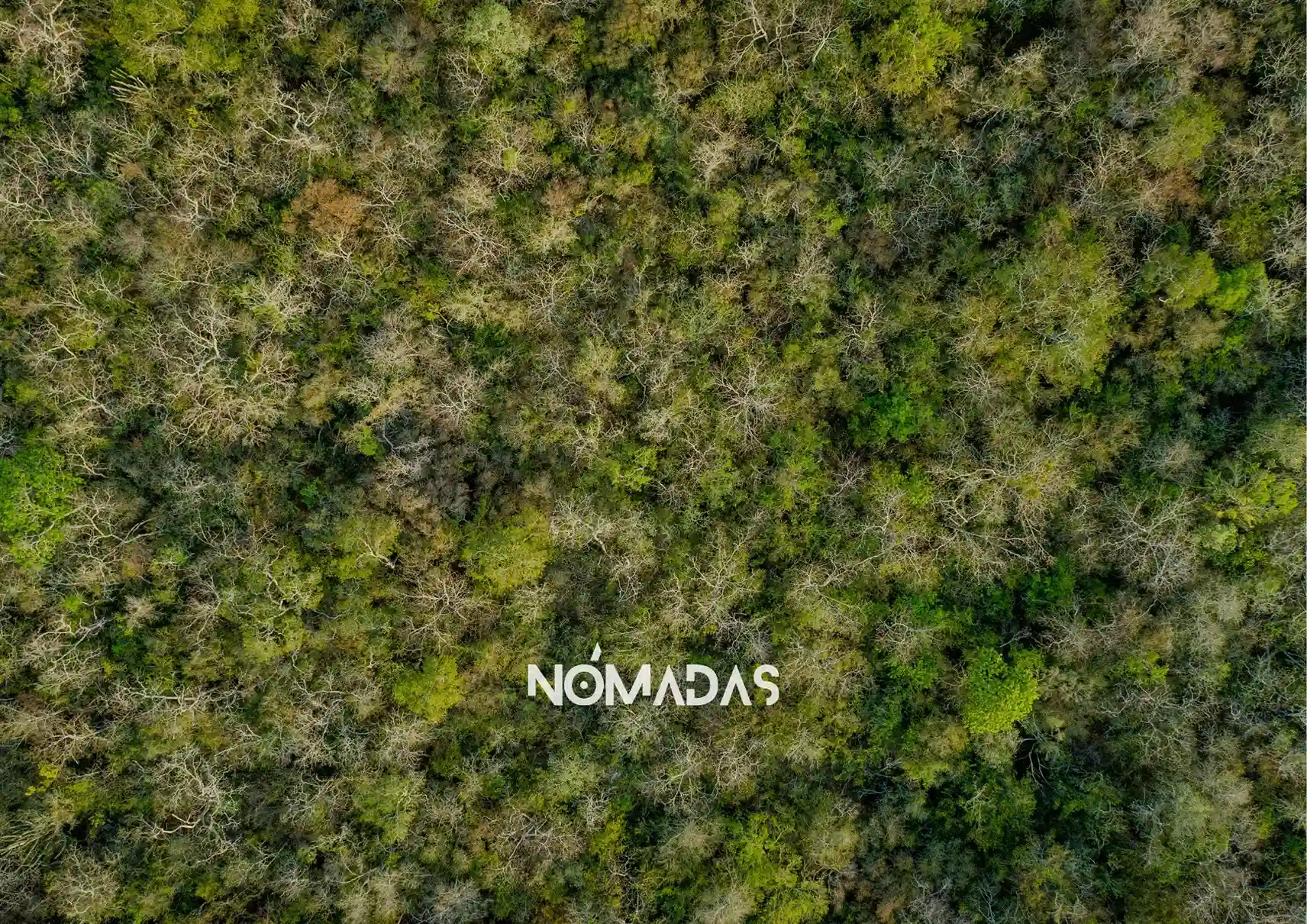 El Tribunal Agroambiental de Sucre ratificó la 'Pausa Ecológica', poniendo fin a la amenaza de desmontes y asentamientos en el corazón del Gran Chaco boliviano. Foto: Maicol Albert.