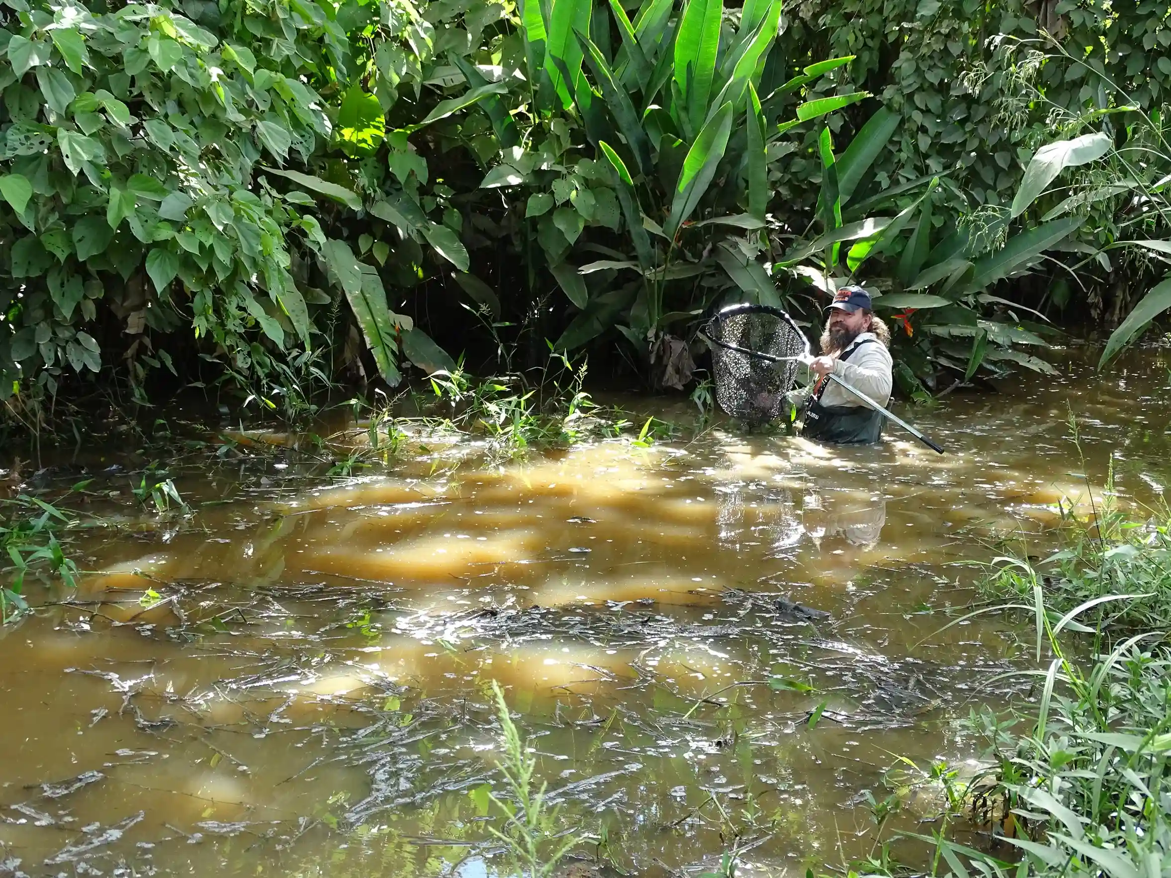 Heinz Arno Drawert, en pleno trabajo.