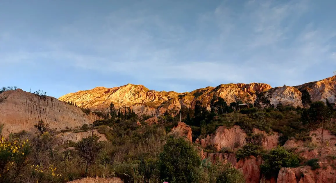 La biodiversidad del valle paceño sigue resistiendo en medio del avance urbano.