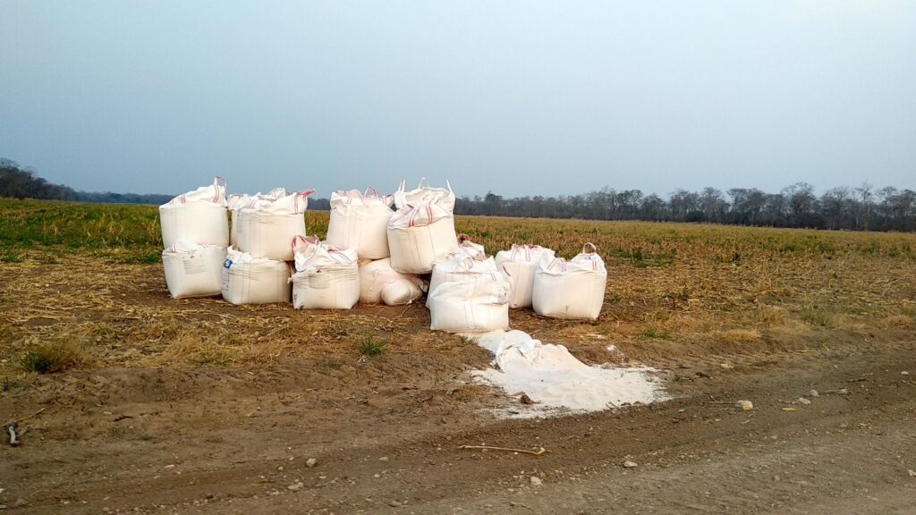 La cal se utiliza en la produccion de soya , directamente en sus suelos, como un nutriente, pero puede afectar al humano porque es un compuesto caustico y peligroso, según expertos en tema ambiental. Foto: Probima.