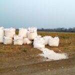 La cal se utiliza en la produccion de soya , directamente en sus suelos, como un nutriente, pero puede afectar al humano porque es un compuesto caustico y peligroso, según expertos en tema ambiental. Foto: Probima.