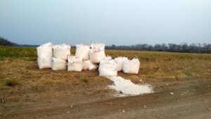 La cal se utiliza en la produccion de soya , directamente en sus suelos, como un nutriente, pero puede afectar al humano porque es un compuesto caustico y peligroso, según expertos en tema ambiental. Foto: Probima.