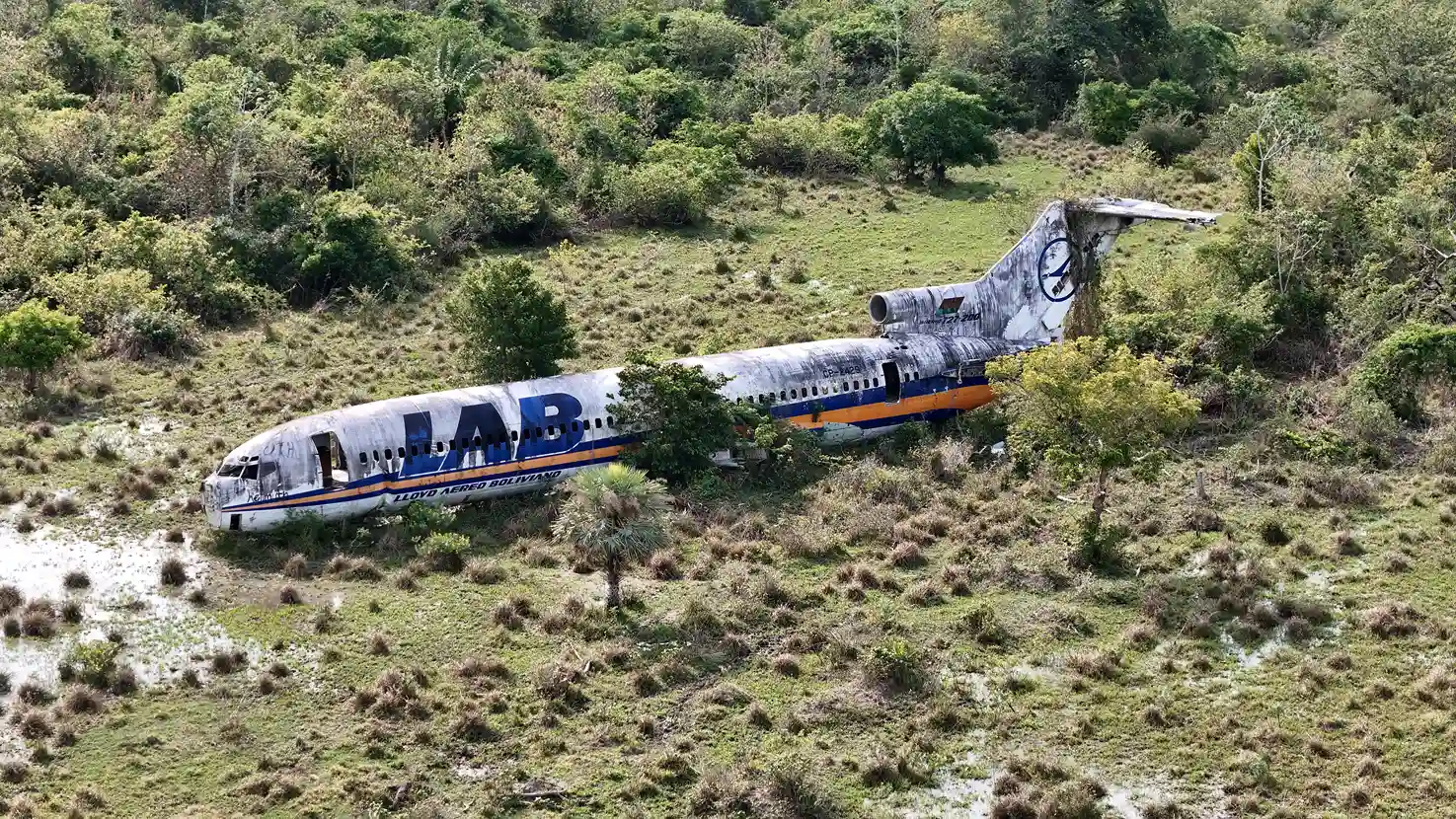 LAB 2 La naturaleza, cada día gana espacio sobre el Boeing 727-200. Foto: Maicol Albert/Revista Nómadas.