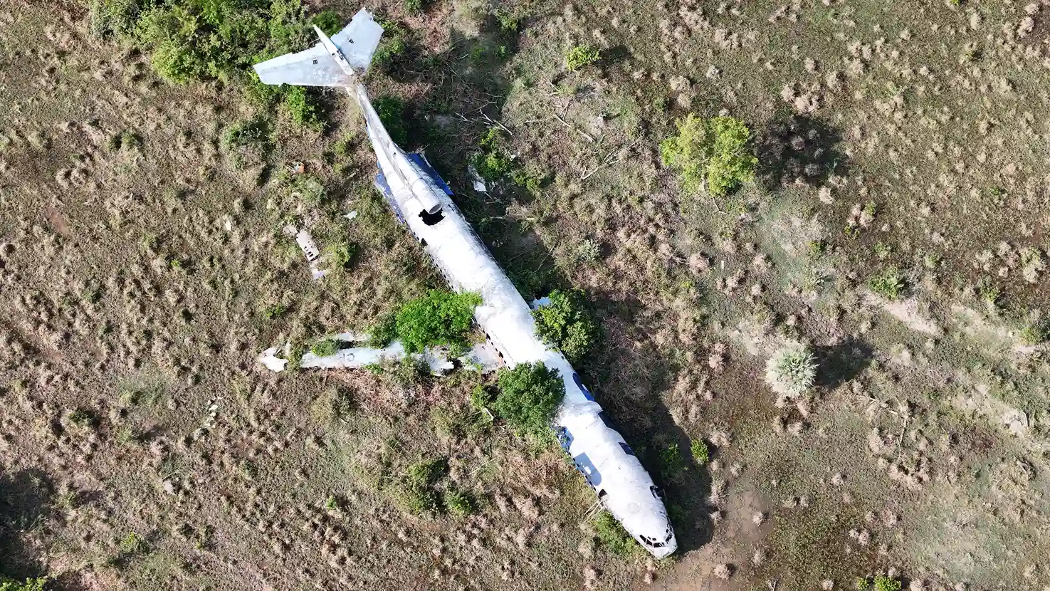 Los árboles también crecen al lado de la nave. Foto: Maicol Albert/Revista Nómadas.