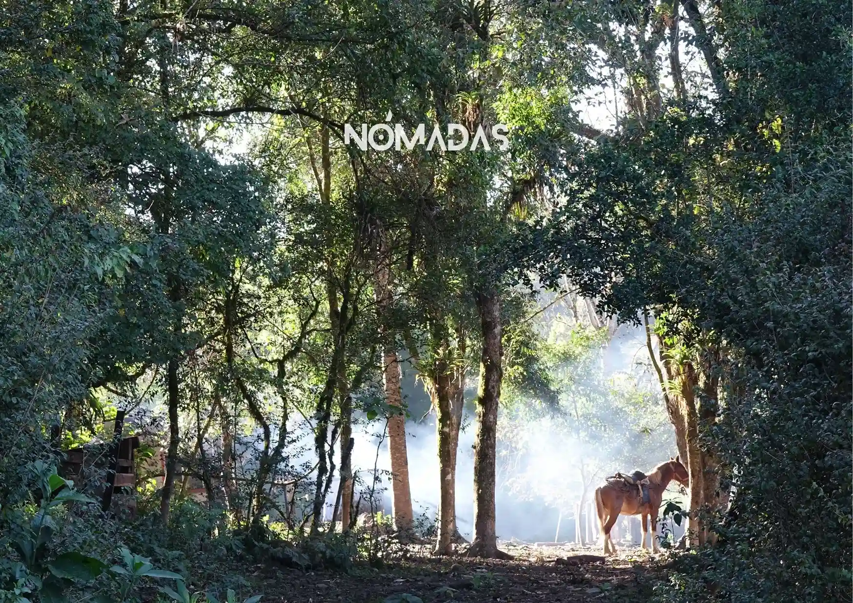 Tariquia-CON-LOGO.jpg La reserva de Tariquía lucha por preservar su paz frente a un proyecto que busca transformar su esencia natural. Foto: Revista Nómadas.