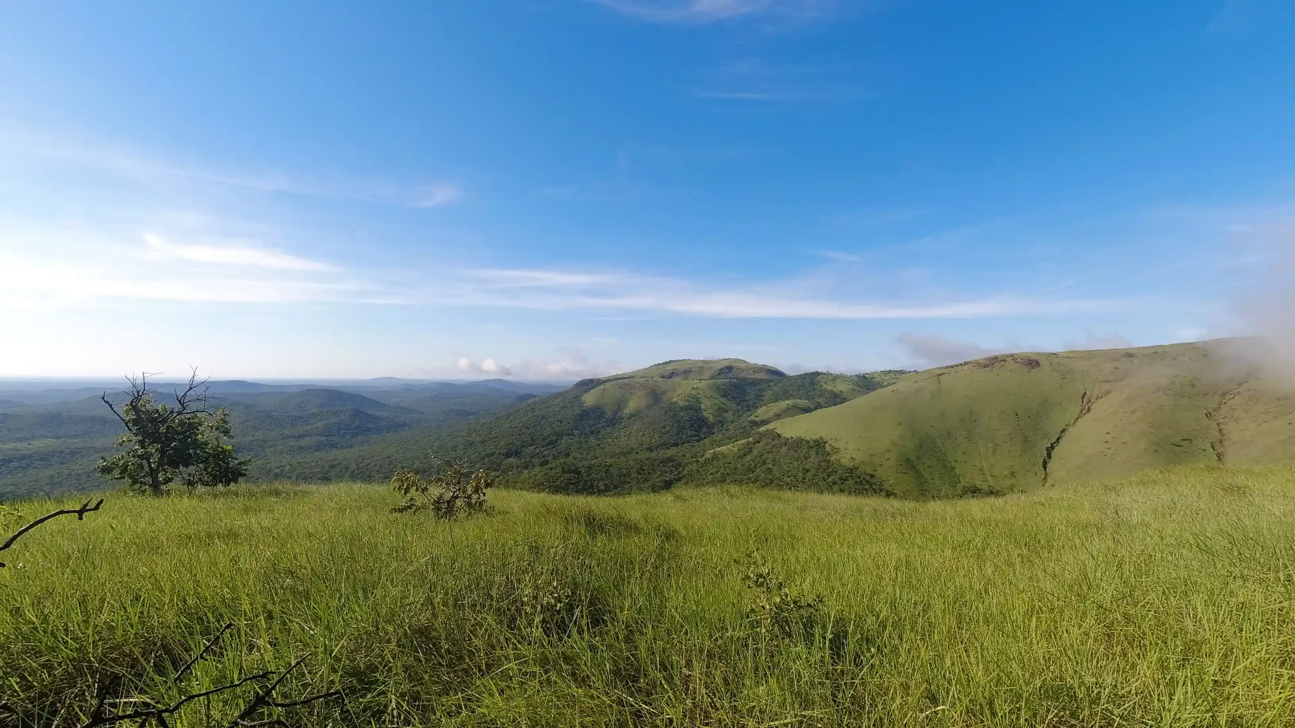 MANOMO-3 El paisaje desde la cima donde la niebla y el viento protegen la biodiversidad del Alto Paraguá.
