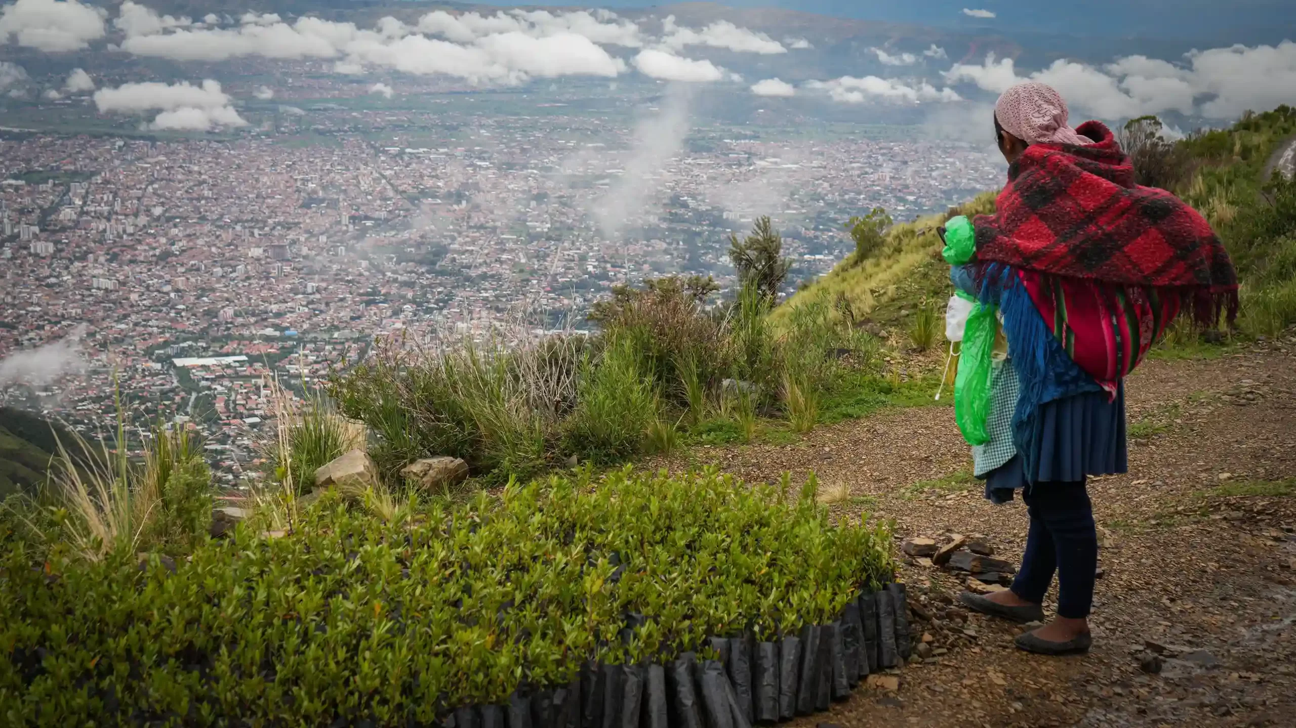 Cuenca-Taquiña_1_ Más de 25.000 plantines nativos reforestan la cuenca Taquiña.