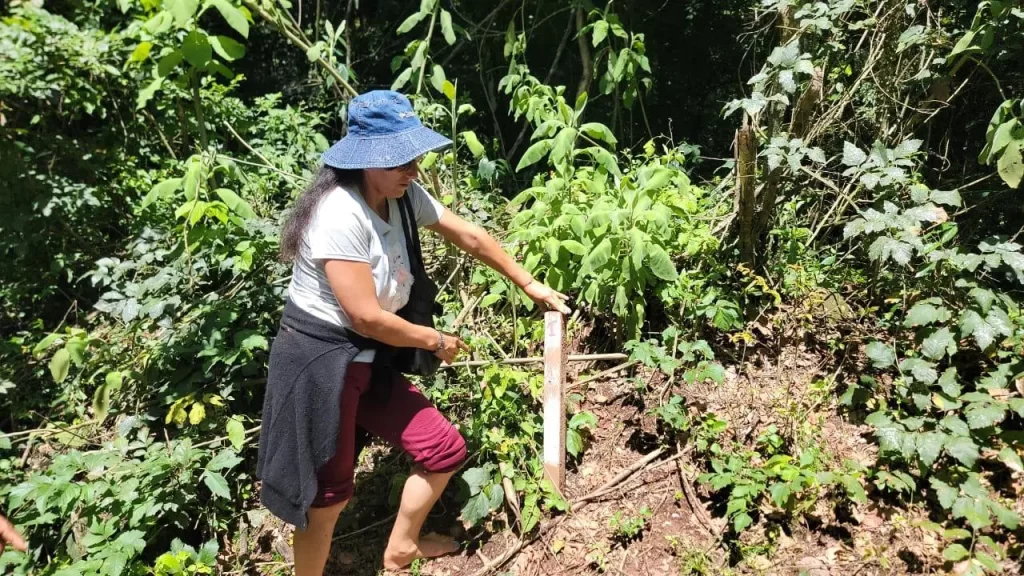Tariquía en vilo y a puertas de la Audiencia pública