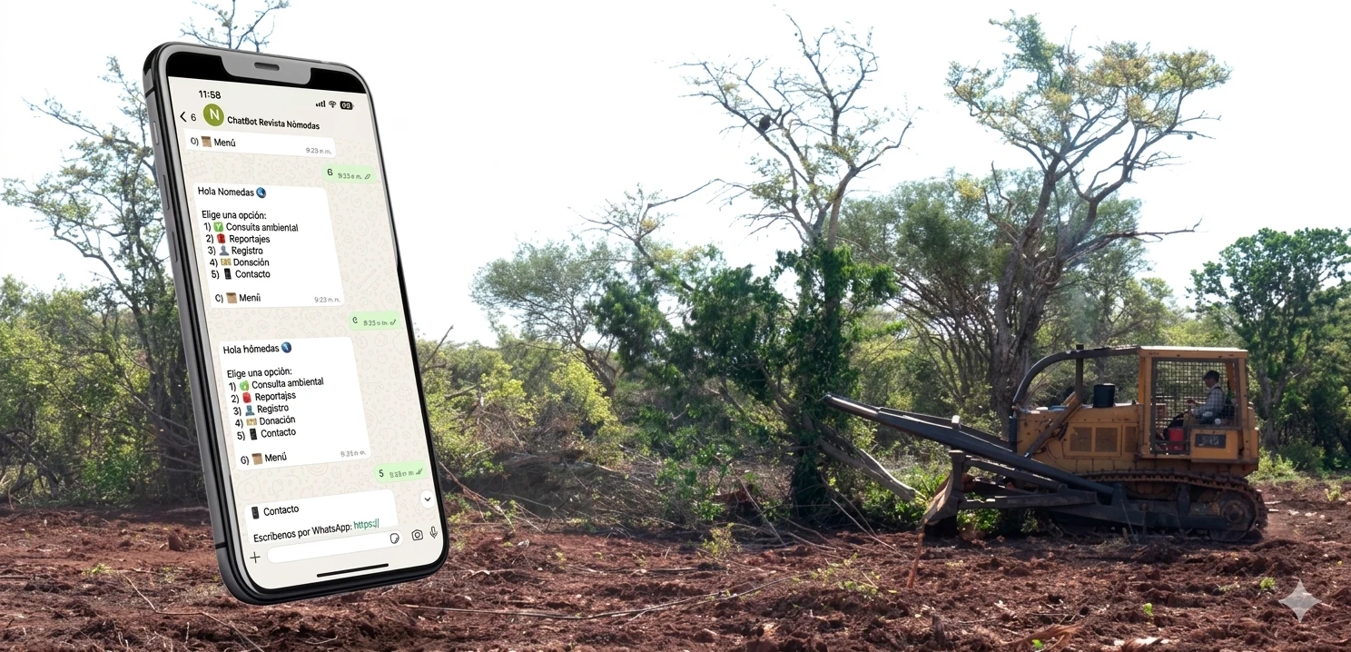 A través de este chat, es posible consultar sobre pérdida de bosques en Bolivia.