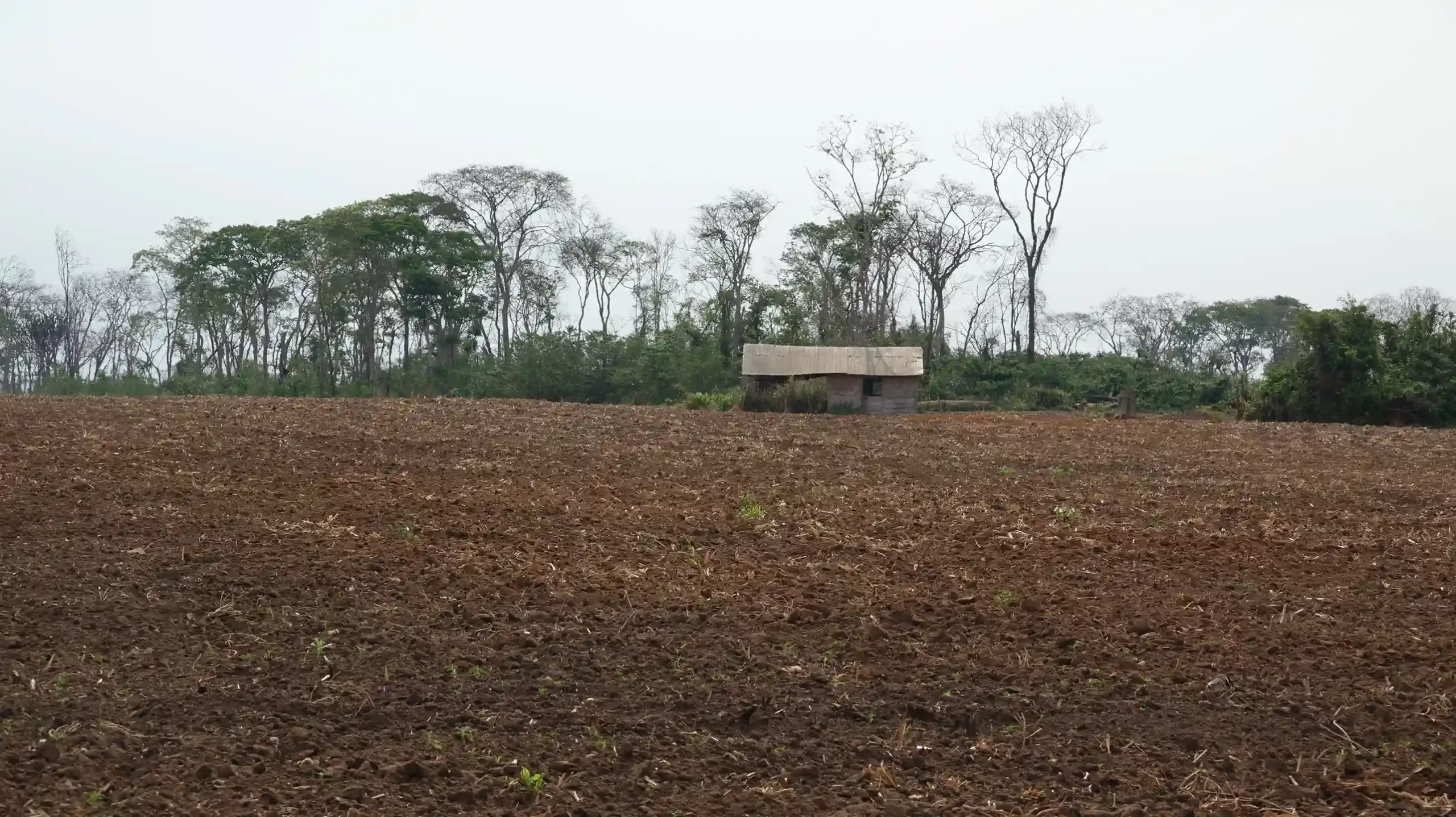 Marcha indígena y campesina frente a retrocesos agrarios con consecuencias socio-ecológicas graves y atentatorias contra los derechos humanos
