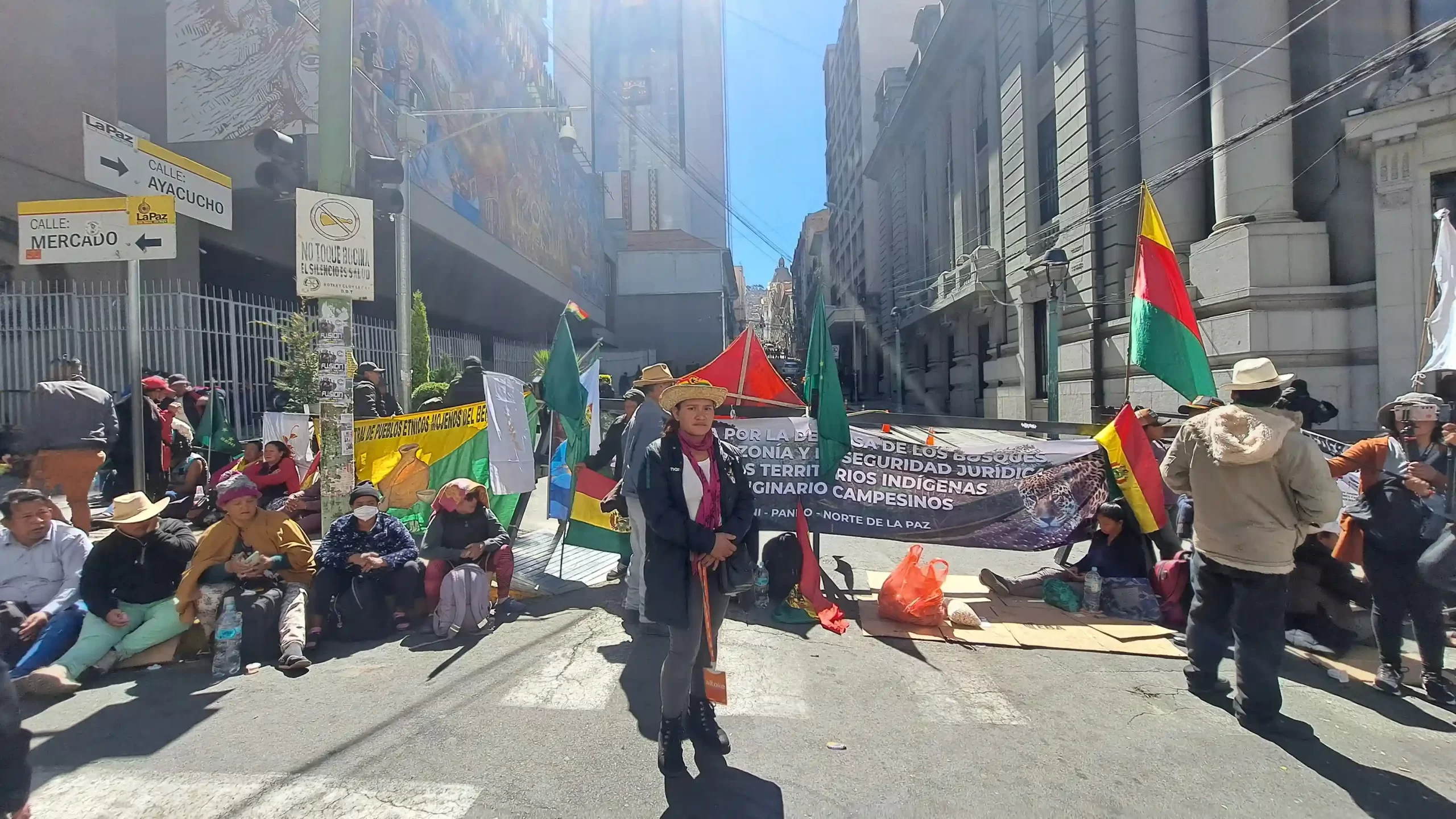 “Somos el sustento de Bolivia: ¿por qué nos imponen una ley que busca destruir nuestros bosques y nuestra Amazonía?”