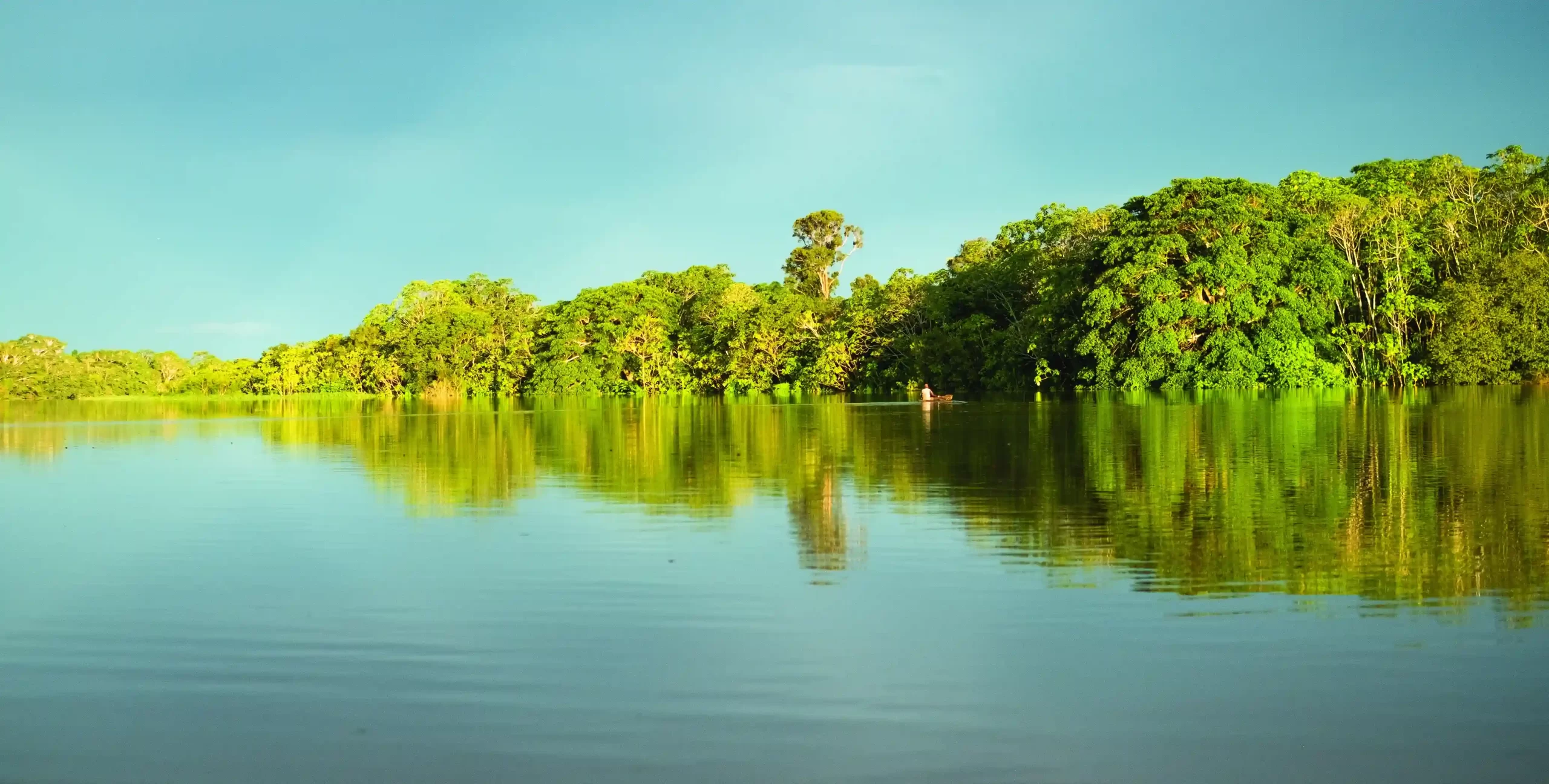 AMAZONÍA (2) La Amazonía en su esplendor. Fotografía: Etseasa Medi (2025).