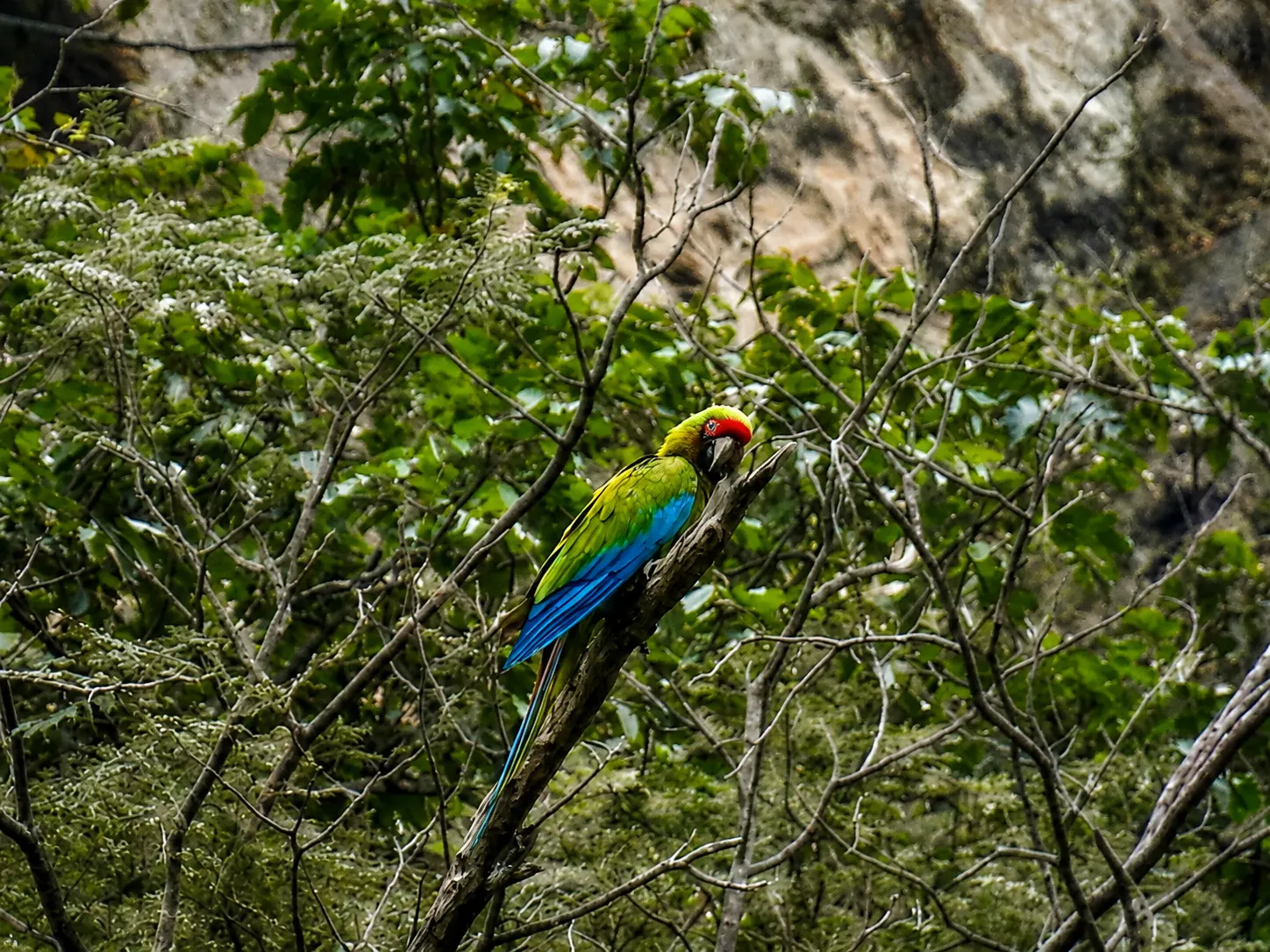 Naturaleza en su esplendor. Foto: Cesar Pizarro.
