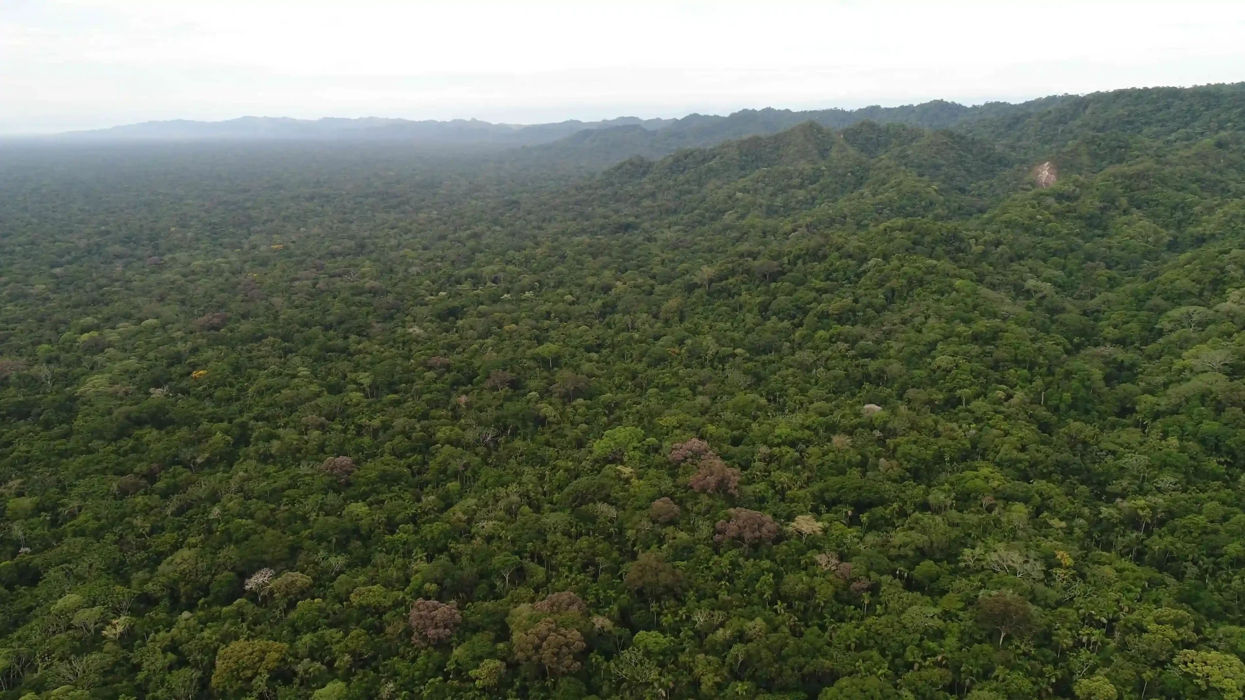 Vista panorámica de la serranía Eva Eva-Mosetenes, un ecosistema vital que abastece de agua a las comunidades indígenas y centros urbanos del Beni.