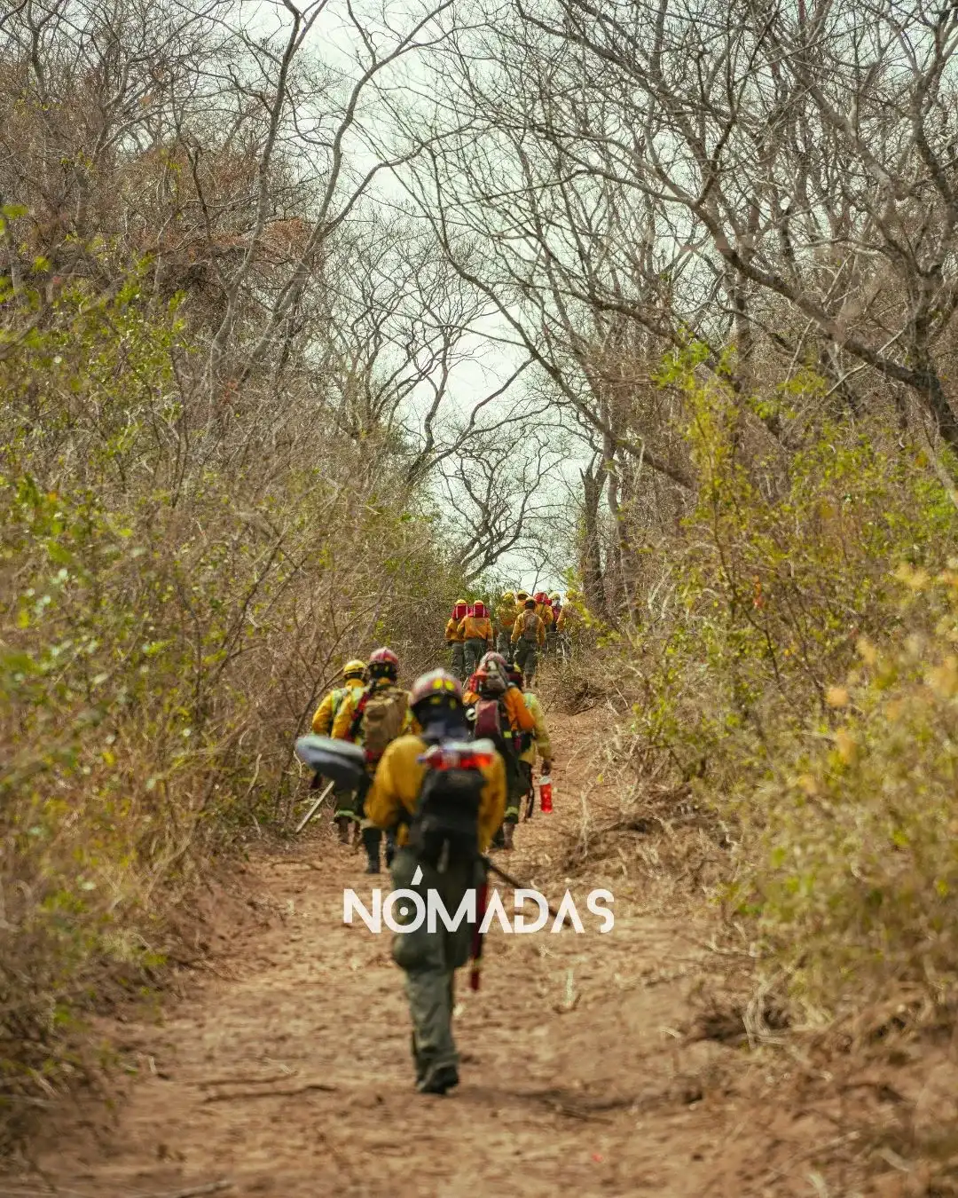 No existen suficientes bomberos para apagar un país que sigue creando sus propios incendios